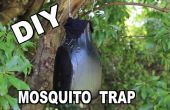 Hoe te maken van een Ovitrap Mosquito Trap
