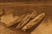 Shovel-nosed rivier kano experiment