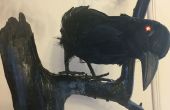Malafide de Raven - gerobotiseerd raaf met LED ogen