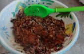 Snelle gezonde Lunch: Wild en bruine rijst met Ragu saus