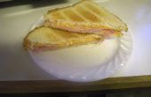 2 minute Toaster Oven gegrilde Ham en kaas Sandwich