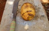 Hoe Bolster kokosnoot met behulp van een Machete Billhook