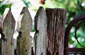 Uw houten hek behoeden voor schimmel