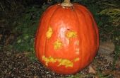 Zelf Carving Pumpkin