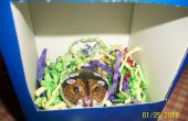Hamster Rock geschilderd