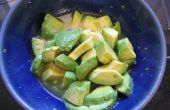 Avocado met agave en kalk