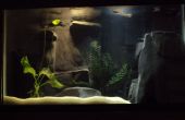 Aquarium met rivieren met aangepaste Concrete 3D achtergrond
