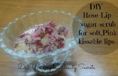 DIY Rose Lip suiker scrub voor zachte, roze & Precious lippen – Home Remedies