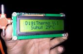Digitale Thermometer-LCD