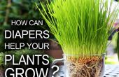 Luiers Help die uw planten groeien! 