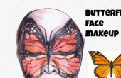 Butterfly Face make-up