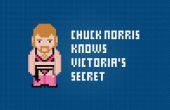 Chuck Norris en een Victoria's Secret - gratis Cross Stitch PDF patroon