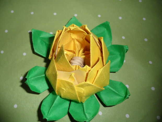 Origami Lotusbloem Cadagilecom