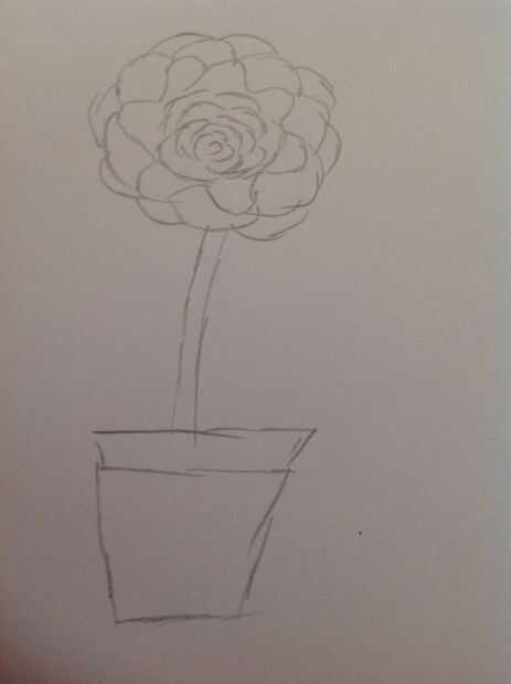 Ongekend Mooie bloem tekening (beginners) / Stap 4: afwerking - cadagile.com AC-49