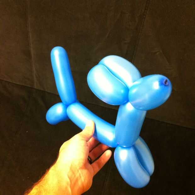 Verwonderlijk Ballon dier - hond - cadagile.com FO-39